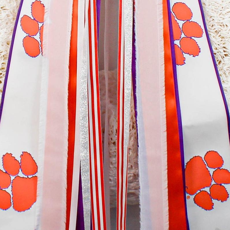 Clemson Tigers Collegiate Ribbon Set (without Bow)