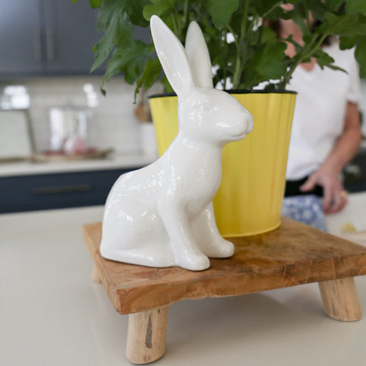 Garden Bunny Planter