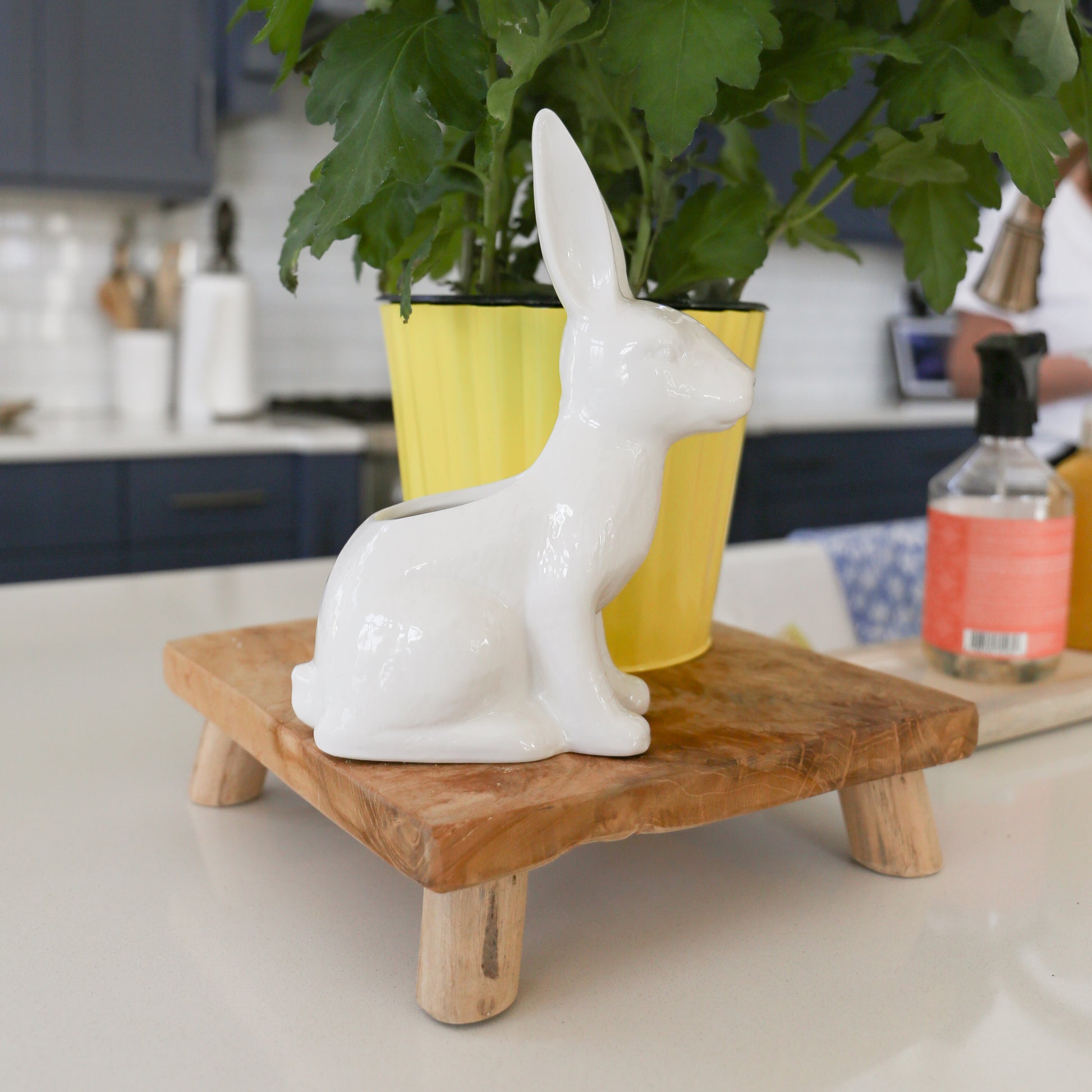 Garden Bunny Planter