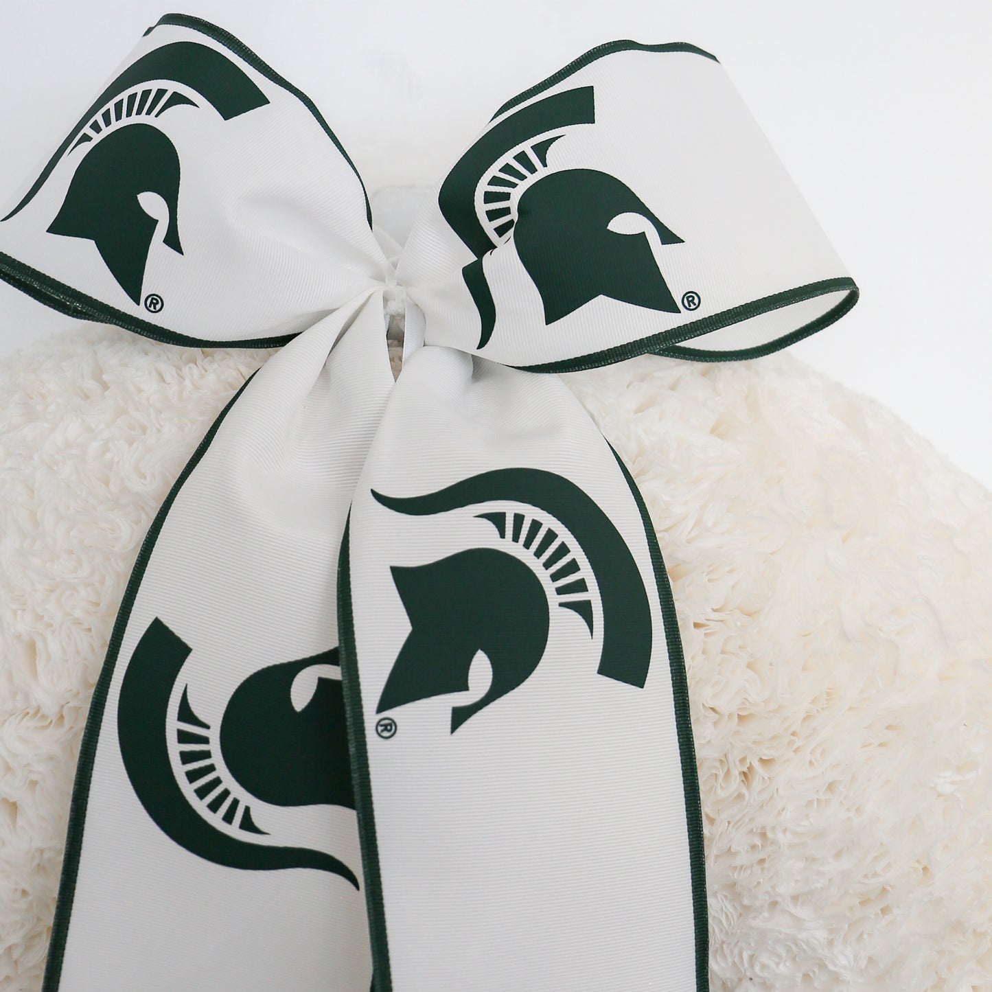 Michigan State Collegiate Bow on a White Coffee Filter Wreath shot close up