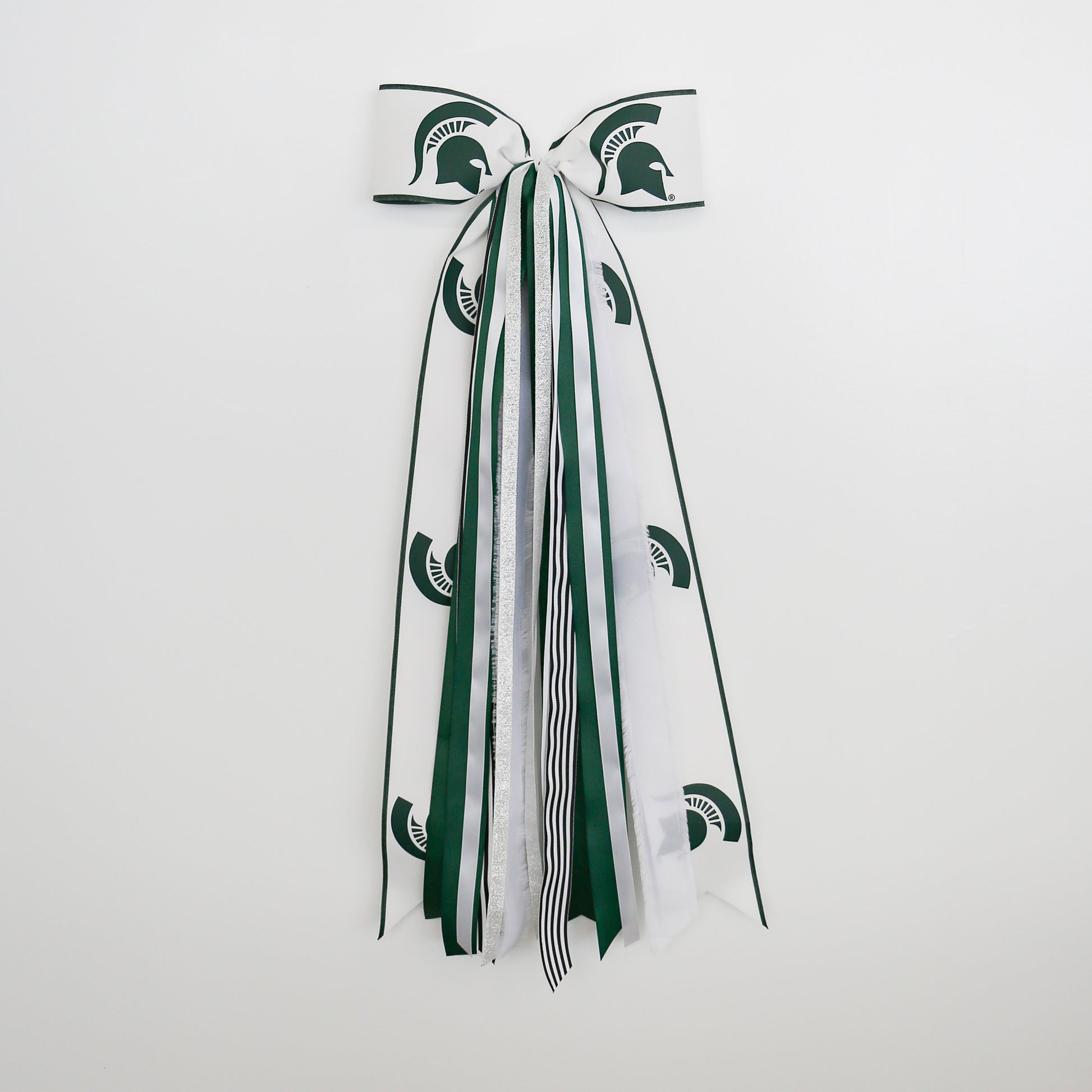 Michigan State Spartans Collegiate-Ribbon Set with Bow