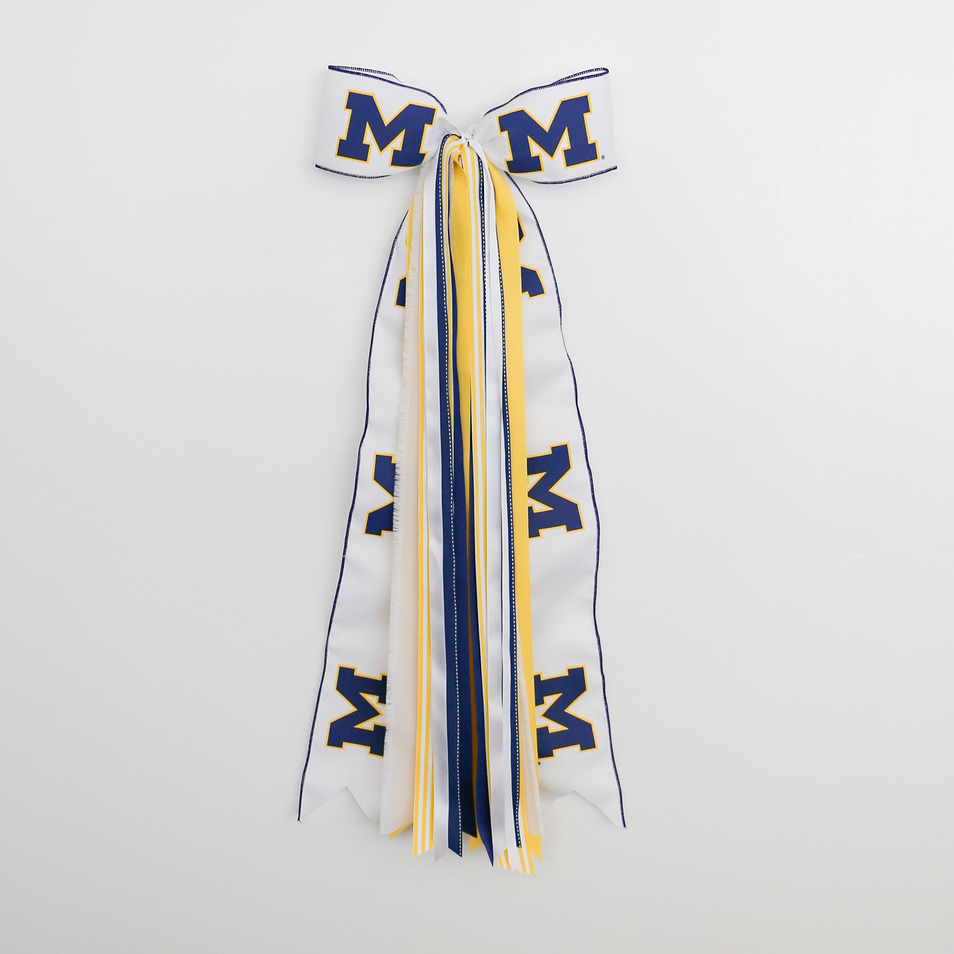 Michigan Wolverines Ribbon Set with Bow