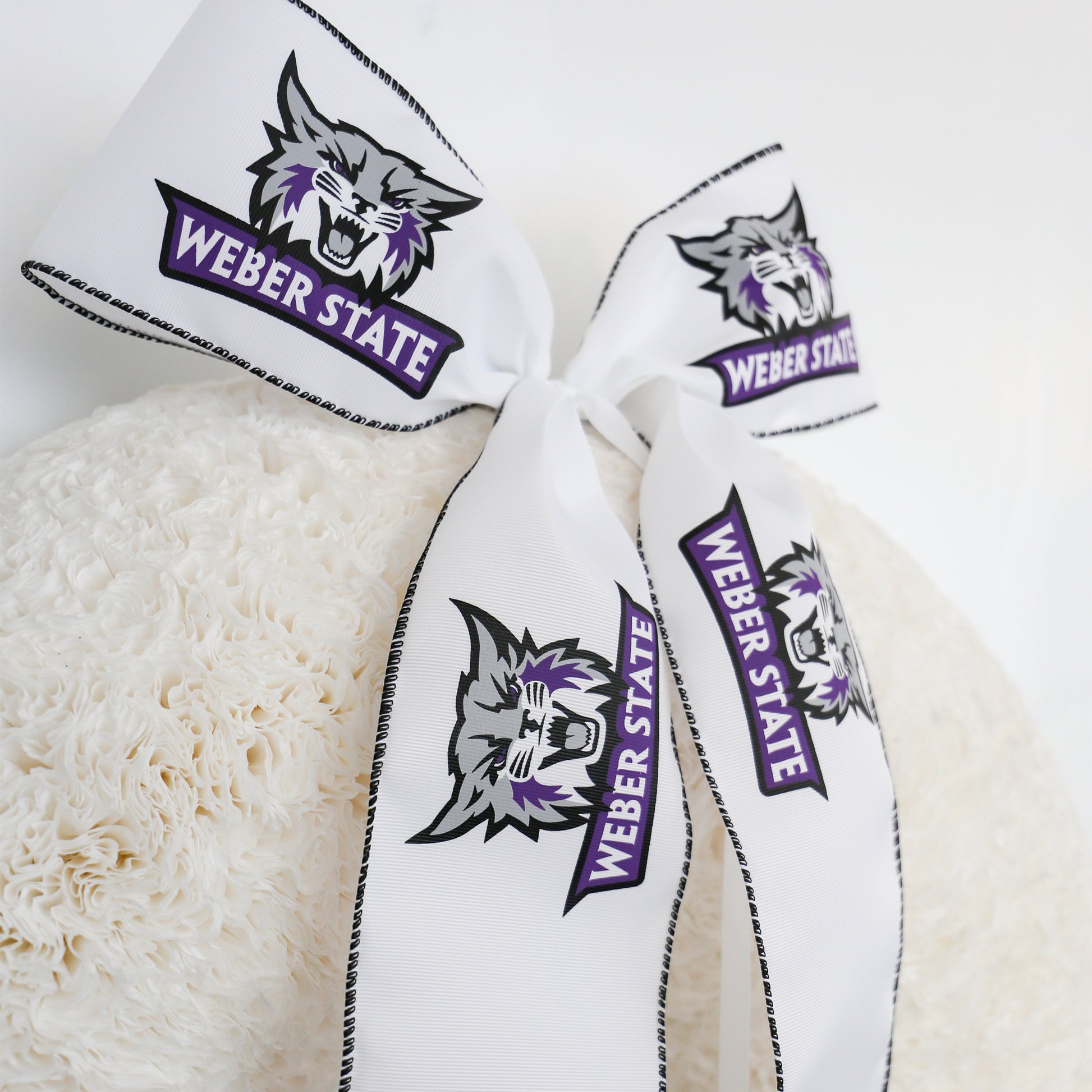 Weber State Wildcats Collegiate Bow 6