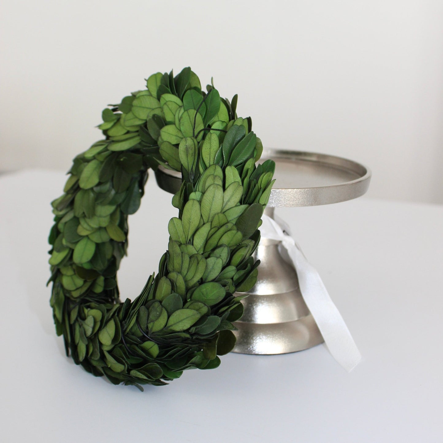 Small Preserved Boxwood Wreath | 6 - inch - Knot and Spool