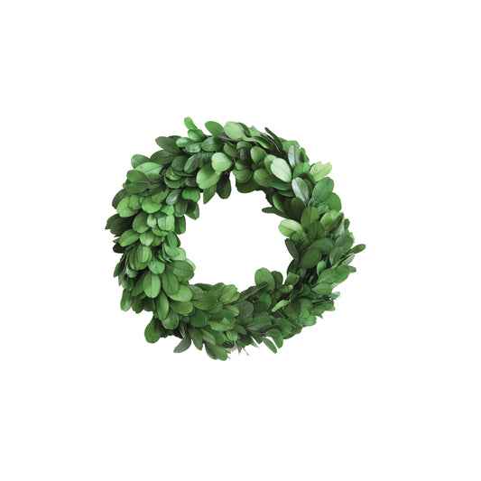 Small Preserved Boxwood Wreath | 6 inch